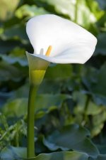 images-71.jpg