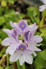 images-80.jpg