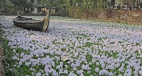 images-84.jpg