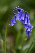 images-87.jpg