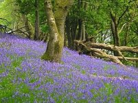 images-85.jpg