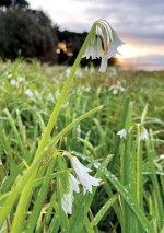 images-90.jpg