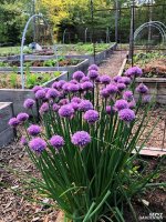 images-92.jpg