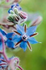 images-85.jpg