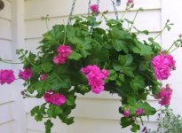 images-59.jpg
