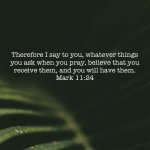 IMG_3195.jpeg