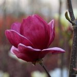 images-91.jpg