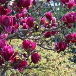 images-92.jpg