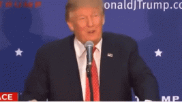 1786240979066.gif