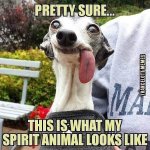 1786251488914.jpeg