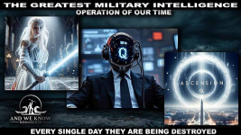 1786404264501.png