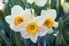 images-90.jpg