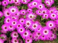 images-59.jpg