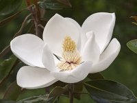 images-99.jpg