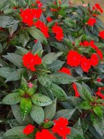 images-94.jpg