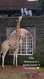 1786580538844.png