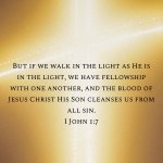 IMG_3206.jpeg