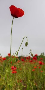 images-78.jpg