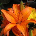 images-12.jpg