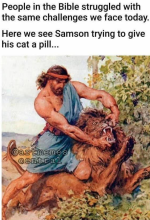 1786888948364.png