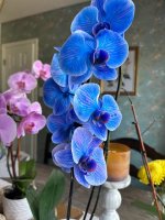images-9.jpg