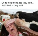 1787005913644.jpeg