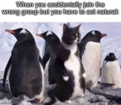 1787009449601.png 1787009449601.png