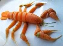 images-13.jpg