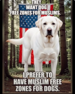 1787351665290.png