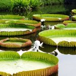 images-19.jpg