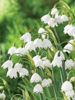 images-43.jpg