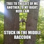 1787952866915.jpeg