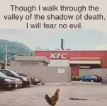 0fc8f0eb6adf94a09ff1d4455a07117dc6d24e894c0fb5ce18205e7c57edfa66.png