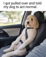 1788652276861.jpeg
