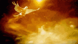 DeafeningQuarrelsomeKillerwhale-max-1mb - Copy - Copy - Copy.gif