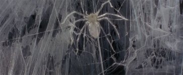 krull spider image.jpg