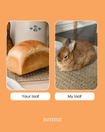 1788972293898.png