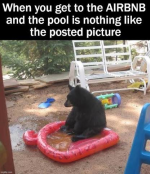 1789569420946.png