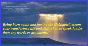 jesus-is-the-light-of-the-world-lynn-hopwood - Copy.jpg