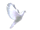 revised.gif
