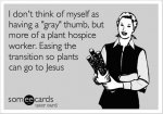 plants can go to jesus.jpg