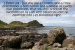 1peter29.jpg