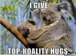 koala-hugs_o_329235.jpg