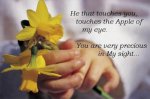 appleeye.jpg