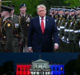 1790440600021.png