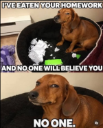 1790602582802.png