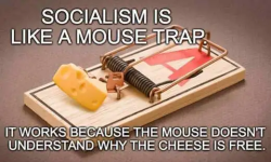 1790624477255.png