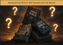001 Shape_Shifter_Modern_Bibles.png