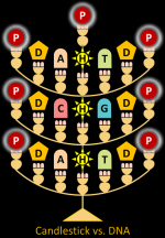 Candlestick DNA.png