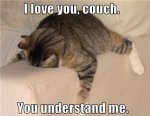 Funny+Tired+Cats_1.jpg Funny+Tired+Cats_1.jpg